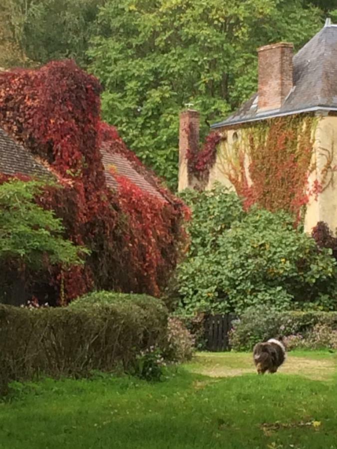 Bed and Breakfast Moulin De Champrond -Montmirail -Sarthe Exterior foto